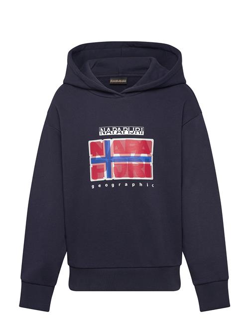 Napapijri | K B-Sella H | 98-104