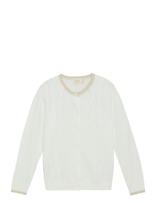 Creamie | Cardigan Pointelle | 116