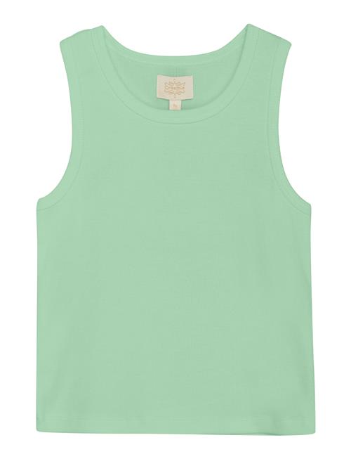 Creamie | Top Rib | 116