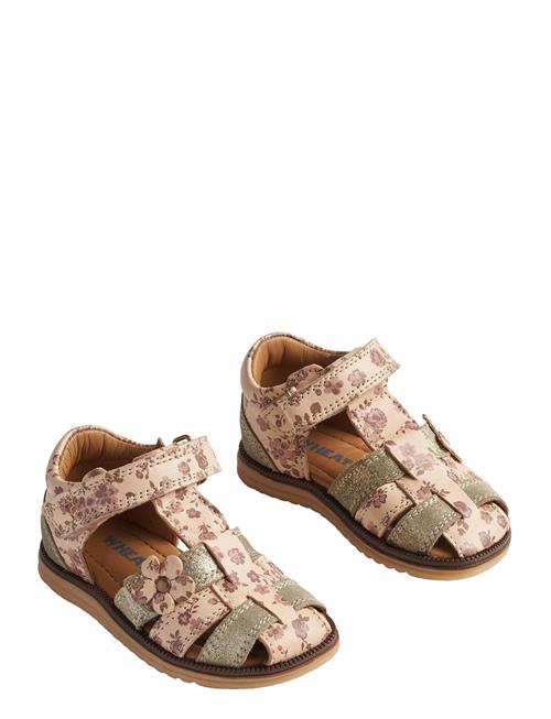 Wheat | Sandal Sky Flower | 23