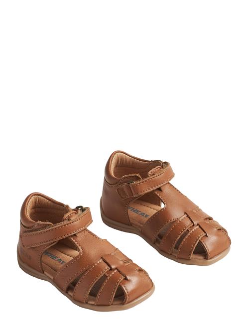 Wheat | Sandal Robbie | 24