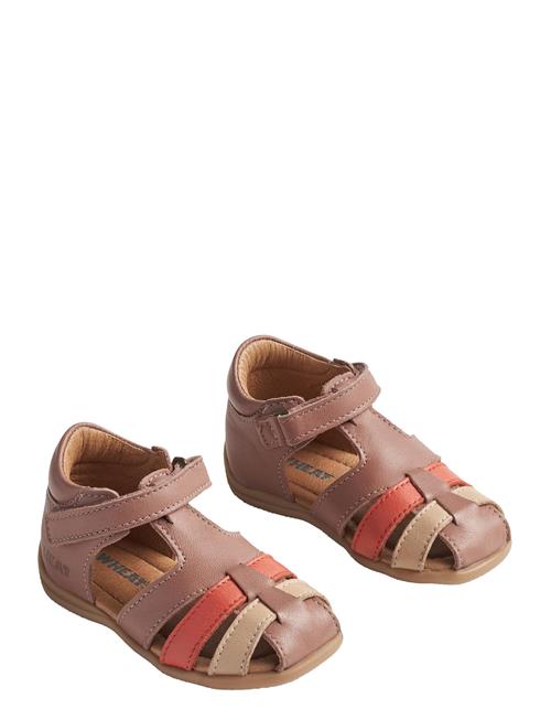 Wheat | Sandal Robbie | 22