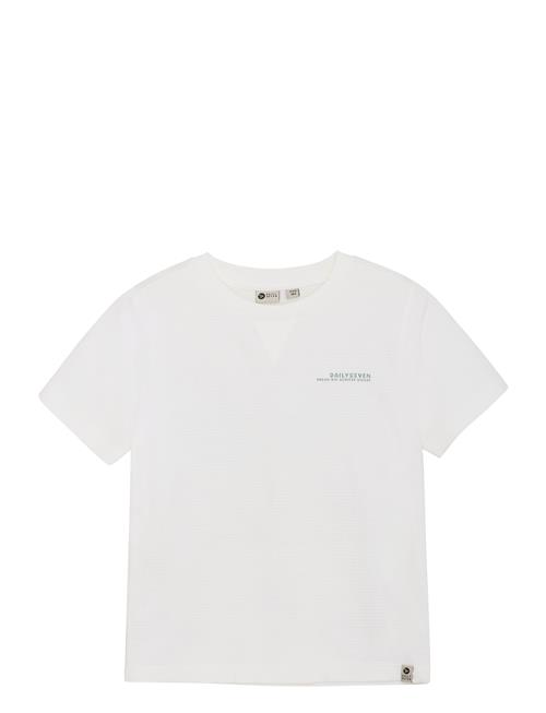 Daily 7 | T-Shirt Backprint | 140