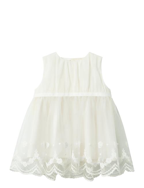 name it | Nbfdemille Spencer | 74