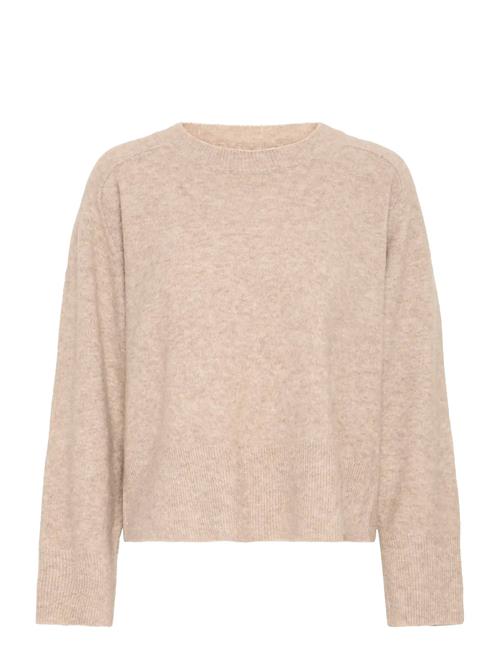 Fransa | Frnoah Pu 1 | XXL