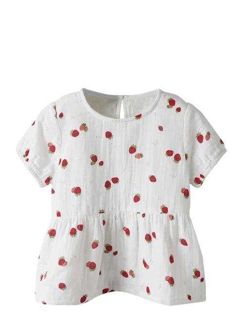 name it | Nmffornelia Ss Top | 116