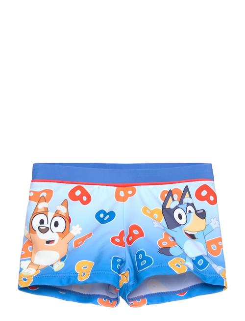 Bluey | Swimsuit | 98