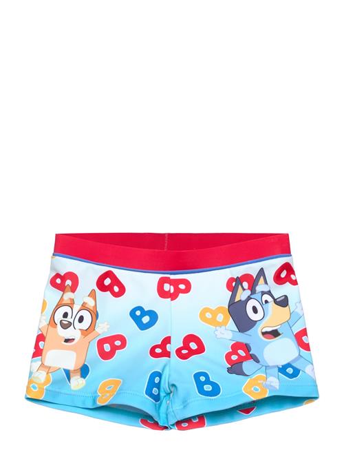 Bluey | Swimsuit | 116