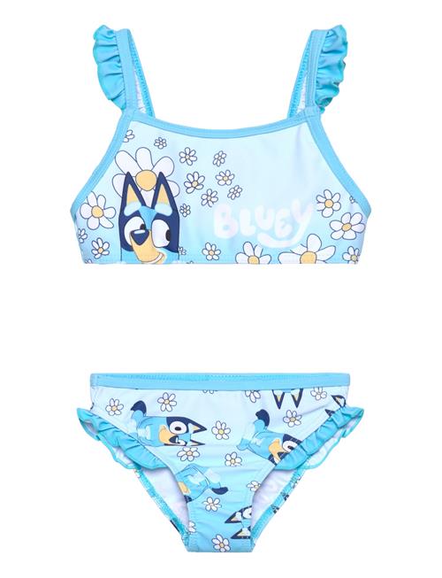 Bluey | Swimsuit | 104