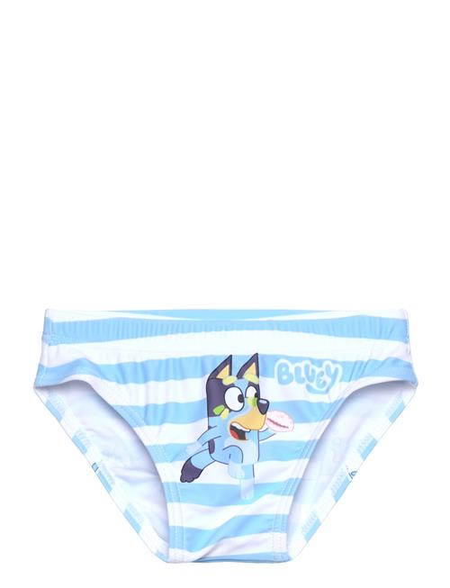 Bluey | Swimsuit | 110