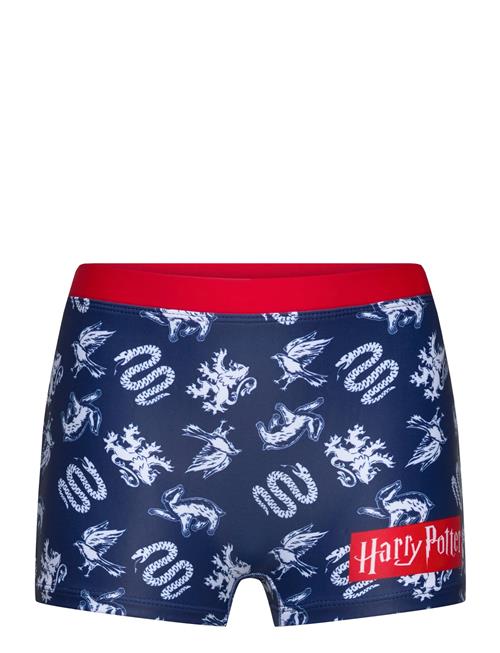 Harry Potter | Swimsuit | 128