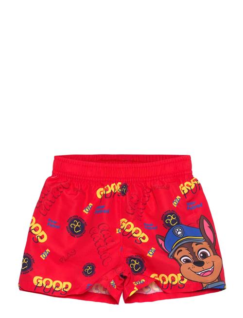 Paw Patrol | Swimsuit | 110