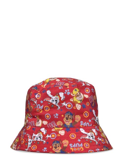 Paw Patrol | Cap | 52