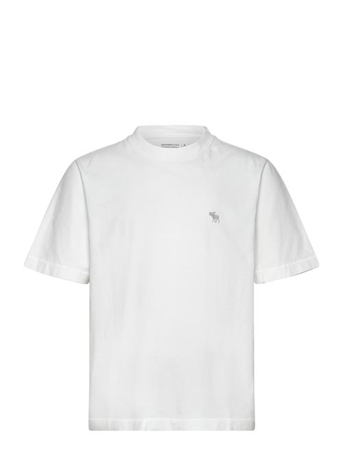 Abercrombie & Fitch | Anf Mens Knits | XL