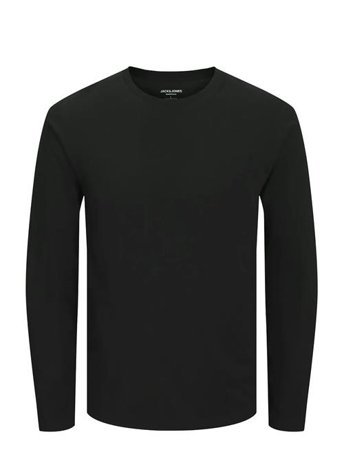 Jack & Jones | Jjeorganic Basic Tee Ls O-Neck Noos | S