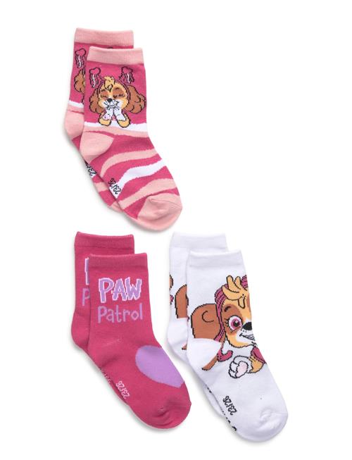 Paw Patrol | Socks | 23/26