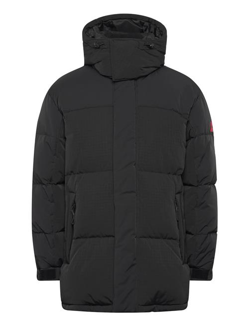 HUGO | Melmus2541 | M