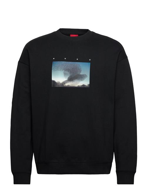 HUGO | Dorizonto | L