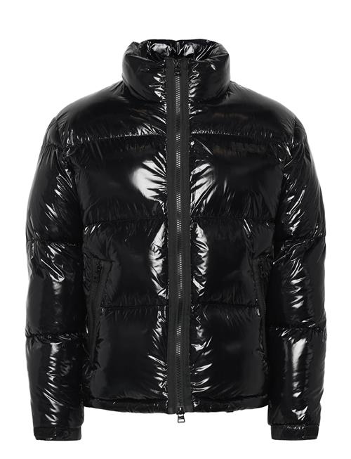 HUGO | Biron2541 | XXL