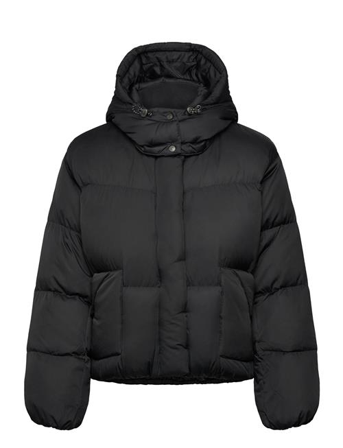 Levi's® | Western Bubble Shortie Anthrac | M