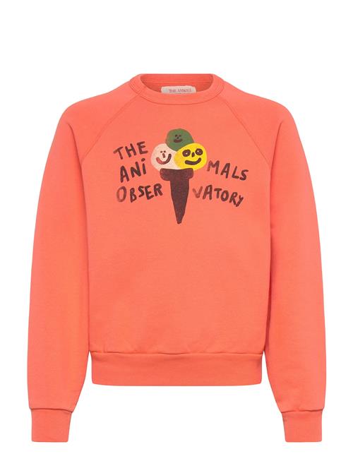 THE ANIMALS OBSERVATORY | Shark Kid Sweatshirt Salmon | 4 Y