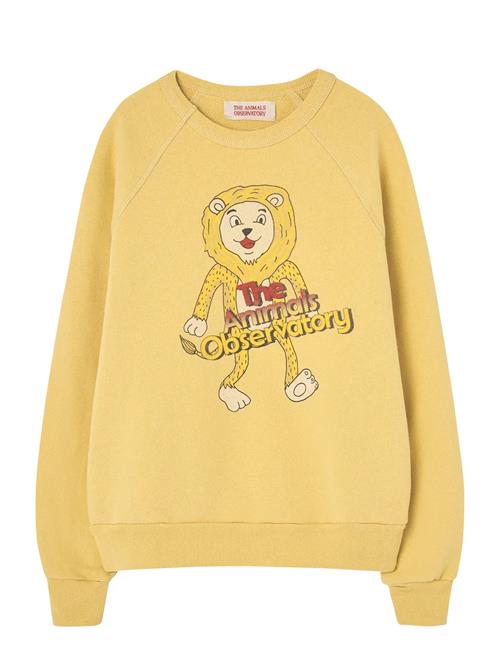 THE ANIMALS OBSERVATORY | Shark Kid Sweatshirt Yellow | 4 Y