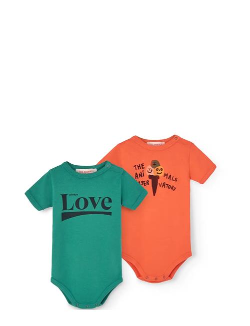 THE ANIMALS OBSERVATORY | Pack Chimpanzee Baby Body Green | 18 M