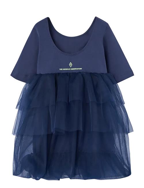 THE ANIMALS OBSERVATORY | Peacock Kid Fancy Dress Blue | 6 Y