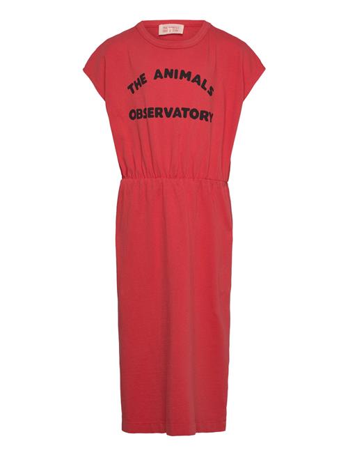 THE ANIMALS OBSERVATORY | Orca Kid Midi Dress Red | 3 Y