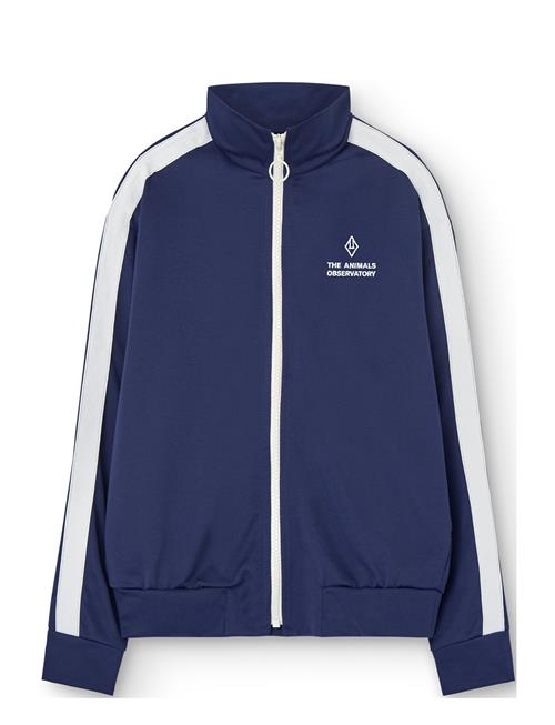 THE ANIMALS OBSERVATORY | Zebra Kid Track Jacket Deep Blue | 12 Y