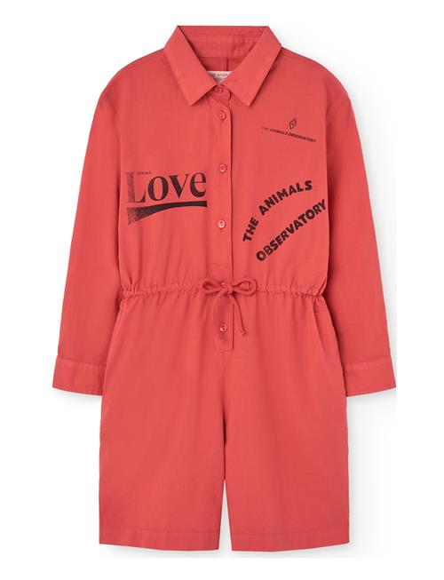 THE ANIMALS OBSERVATORY | Squirrel Kid Short Jumpsuit Red | 12 Y