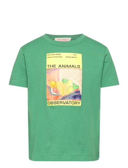 THE ANIMALS OBSERVATORY | Big Rooster Kid T-Shirt Green 8Y | 3 Y