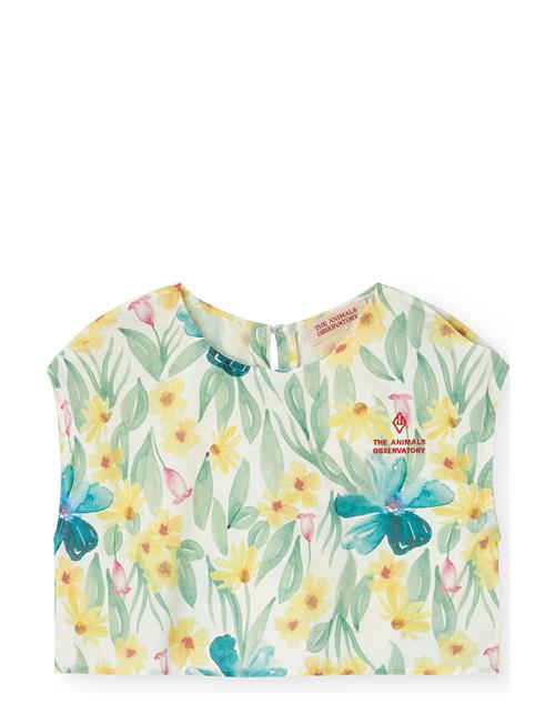 THE ANIMALS OBSERVATORY | Baboon Kid Top White | 6 Y