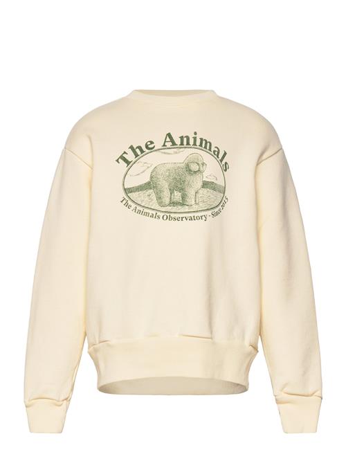 THE ANIMALS OBSERVATORY | Bear Kid Sweatshirt White Logo | 4 Y