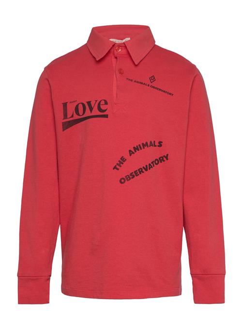 THE ANIMALS OBSERVATORY | Eel Kid Polo Shirt Red | 8 Y