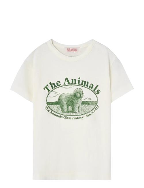 THE ANIMALS OBSERVATORY | Rooster Kid T-Shirt White Logo | 6 Y