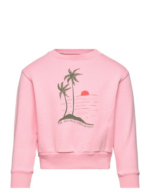 THE ANIMALS OBSERVATORY | Bear Kid Sweatshirt Pink | 3 Y