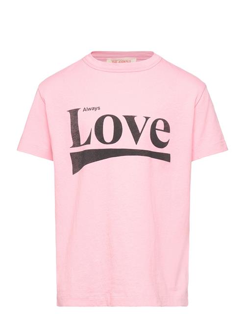 THE ANIMALS OBSERVATORY | Rooster Kid T-Shirt Pink | 4 Y