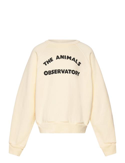 THE ANIMALS OBSERVATORY | Shark Kid Sweatshirt White Logo | 8 Y