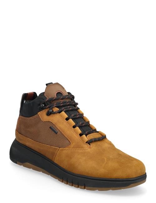 GEOX | U Aerantis 4X4 B Abx | 41