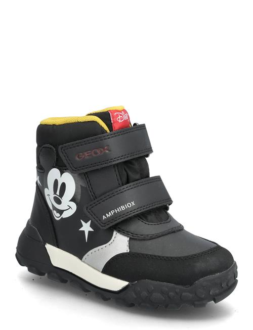 GEOX | B Trekkyup Boy B Abx | 20