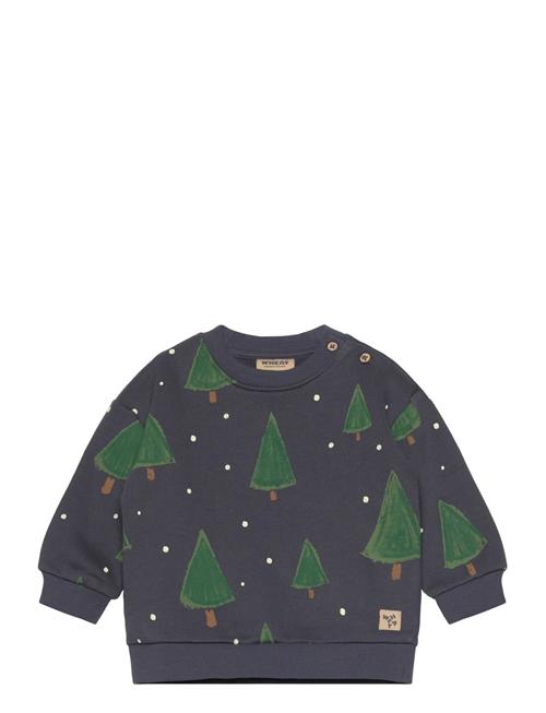 Wheat | Sweatshirt L/S Sandro | 74