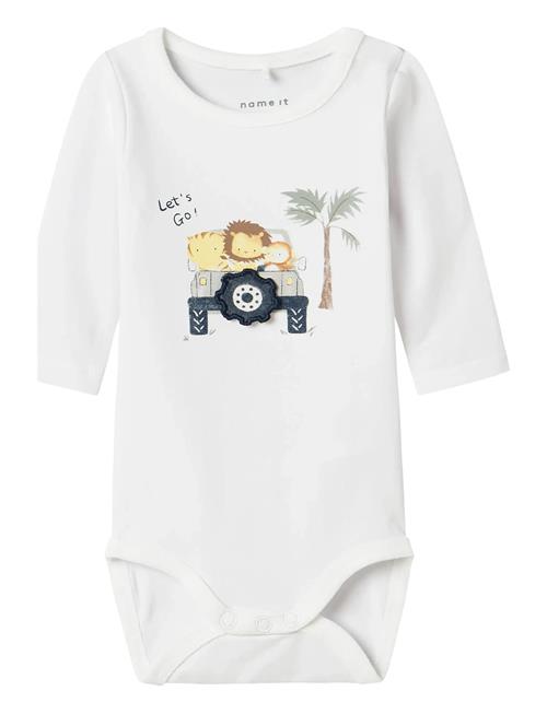 name it | Nbmhollow Ls Body Box | 50