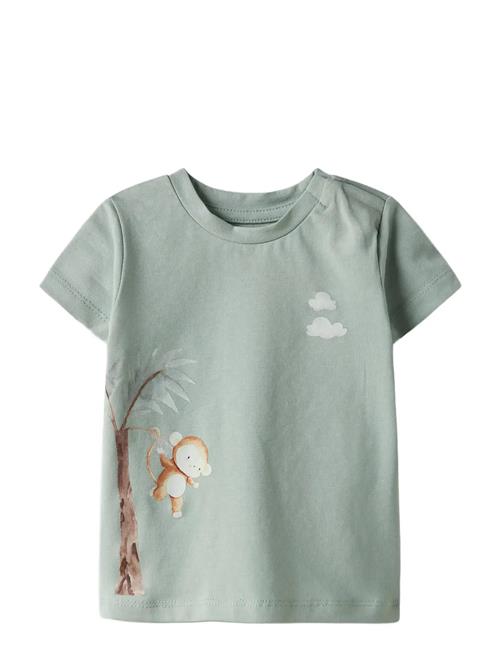 name it | Nbmharrison Ss Top Box | 62