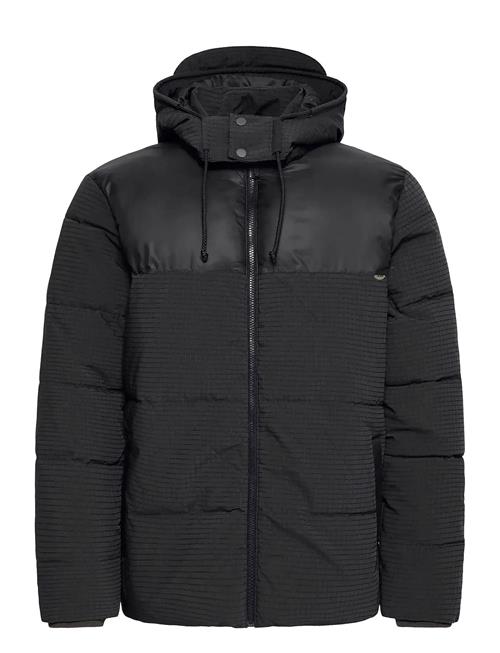 Blend | Bheshan Jkt. | L