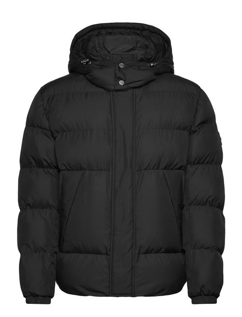 BOSS | H-Corbinian5 | 50