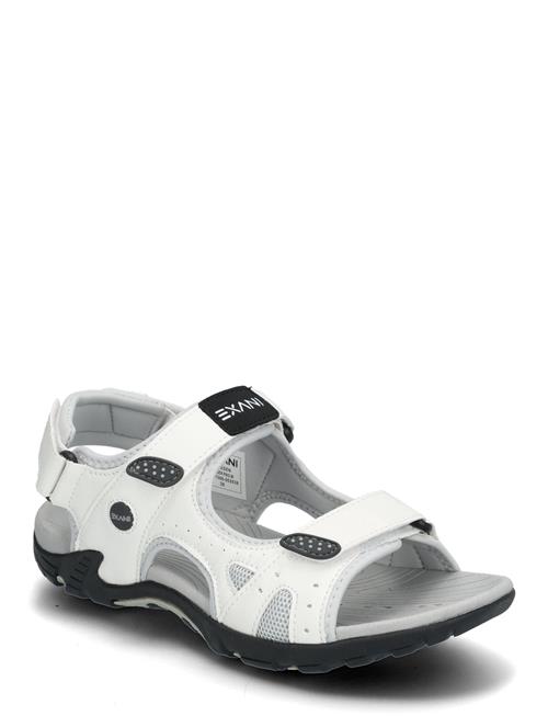 Exani | Spider Pro W | 39