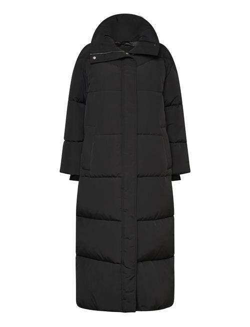 BOSS | C_Pyrani | 46