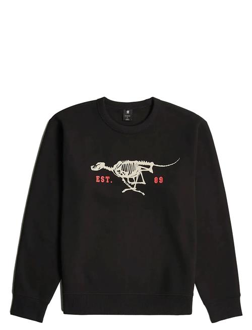 G-Star | Running Dog Back Gr R Sw | XL