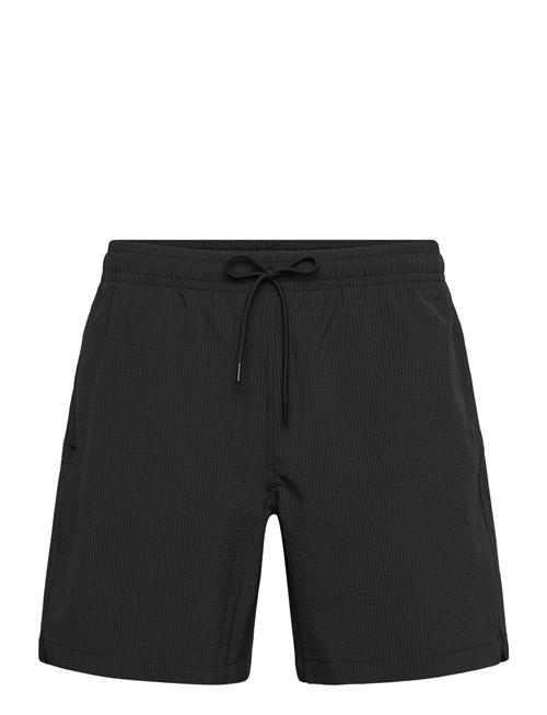 Abercrombie & Fitch | Anf Mens Swim | S